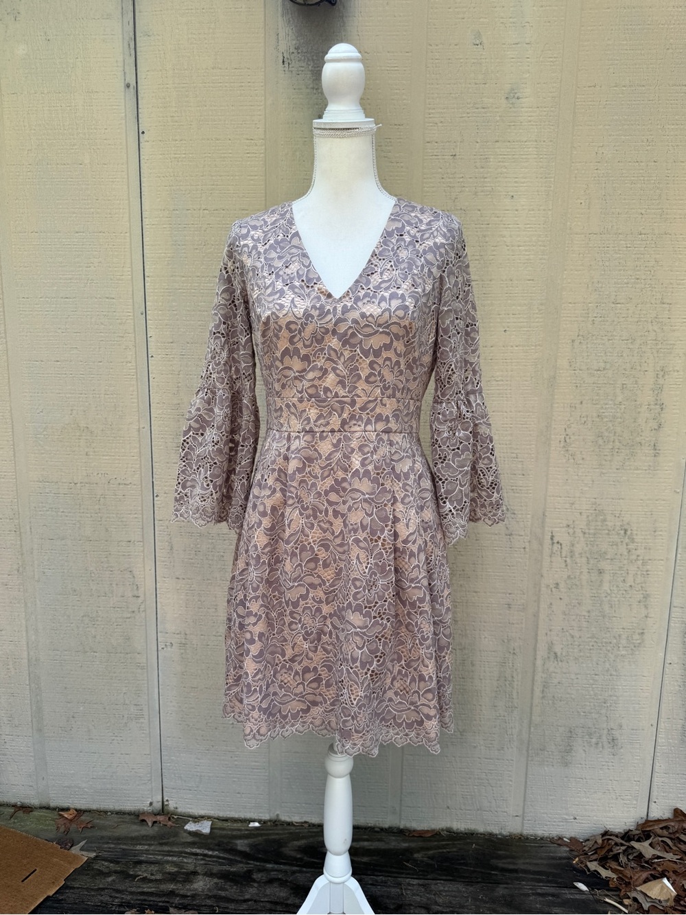 Eliza J Dusty Rose Lace V-Neck Fit & Flare Mini Dress